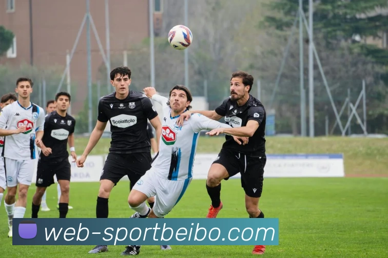 App Interface Preview