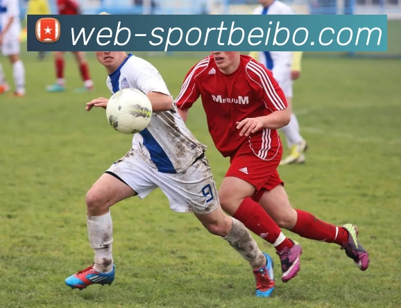 贝博体育APP 封面图